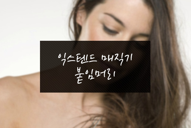 라엘붙임머리 이미지