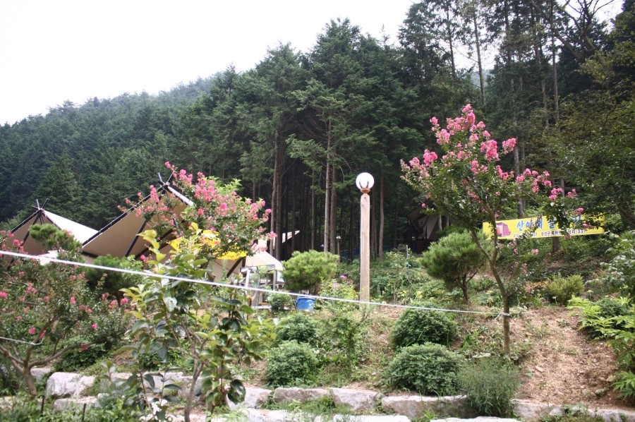 월성 산아래 글램핑 이미지