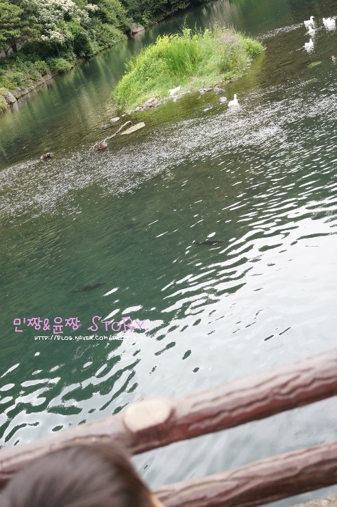 천지연랜드식당 이미지