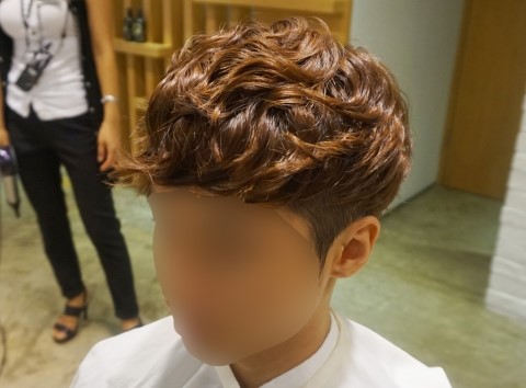 포레스타스프링 이미지