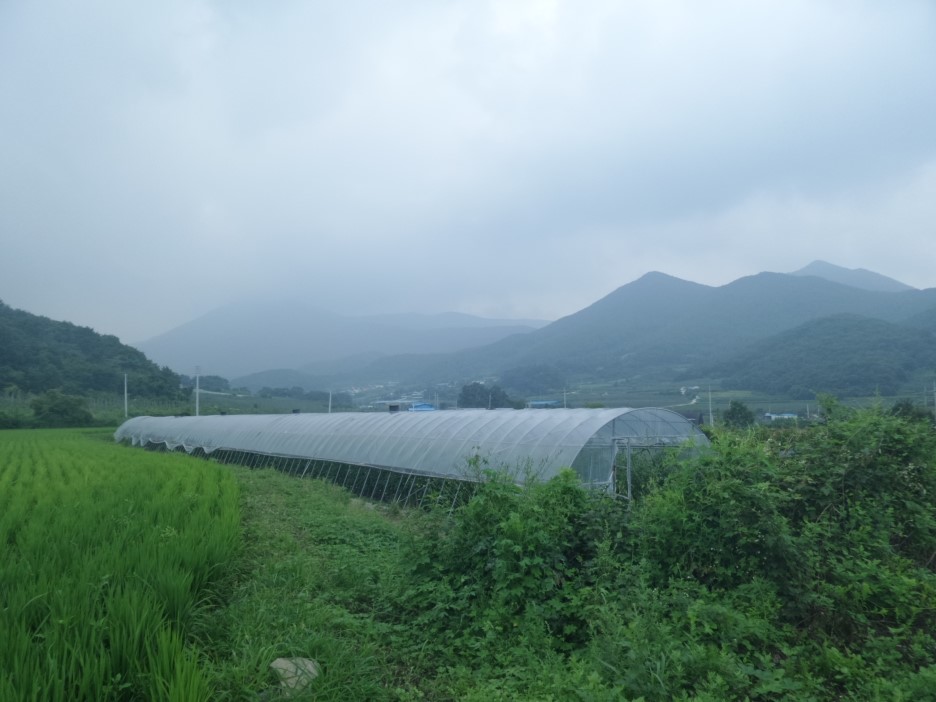 보현, 면봉산 이미지