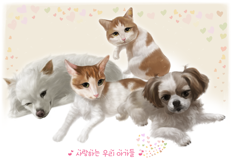 원츄 이미지