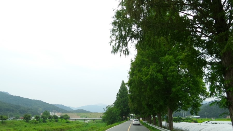 한국가사원 이미지