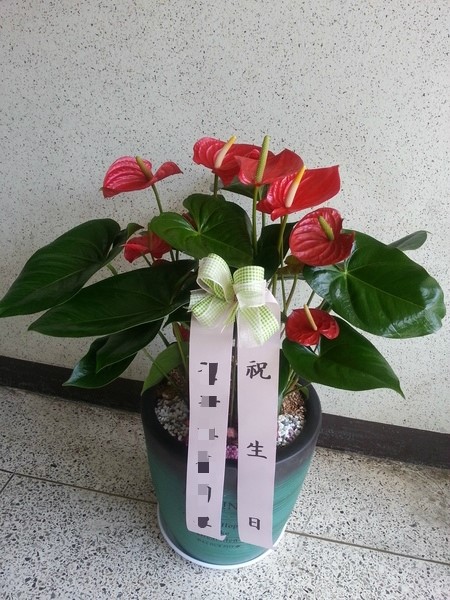 디자인디씨 이미지