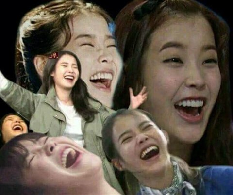 합스카치 이미지