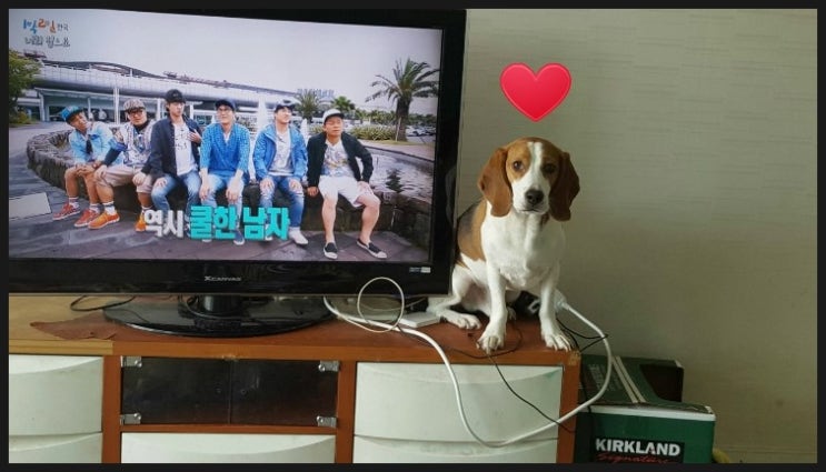 다담이 이미지