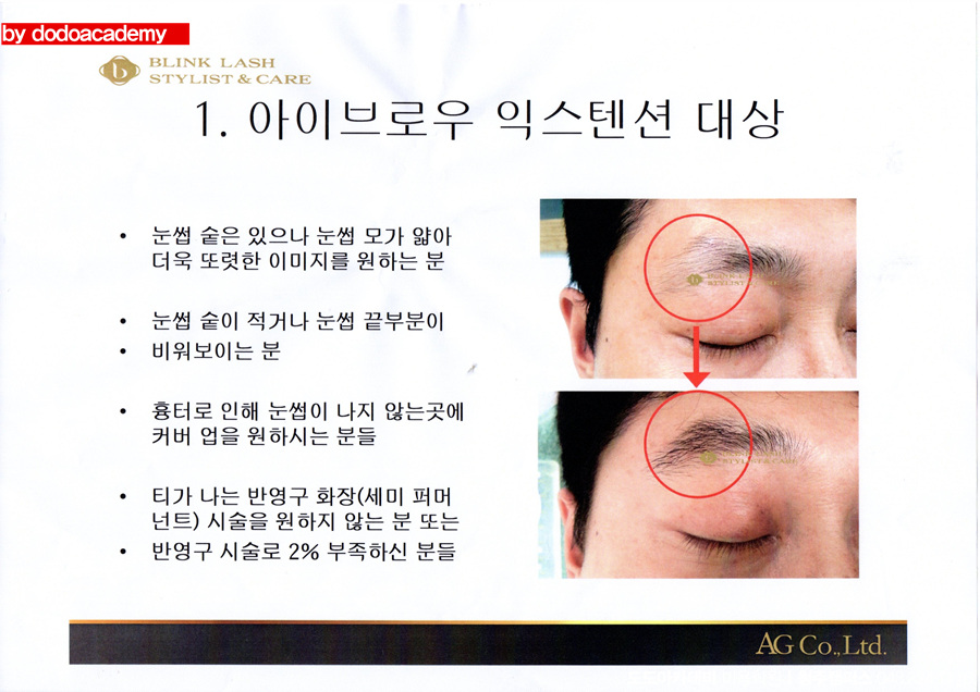 도도브로우 이미지