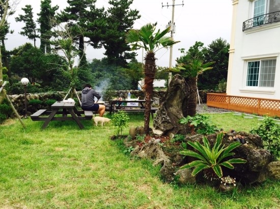 파티마당 이미지