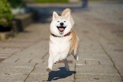냠냠 이미지