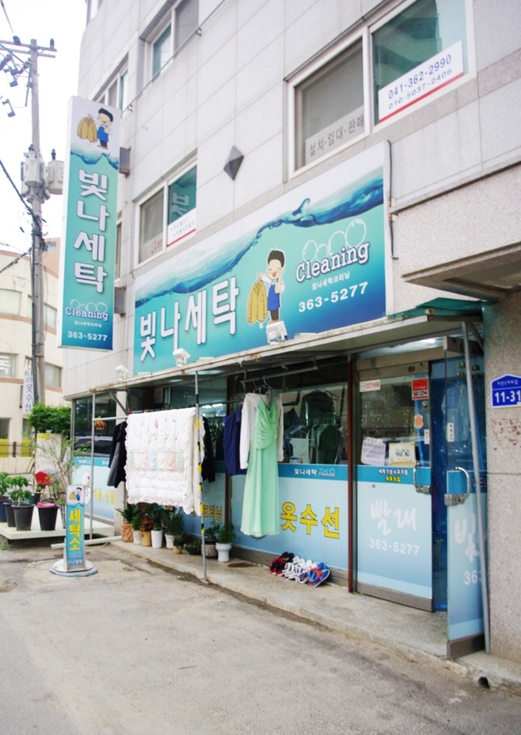 빛나수선 이미지