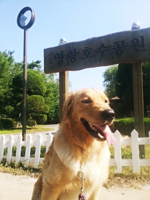 속초산책 이미지