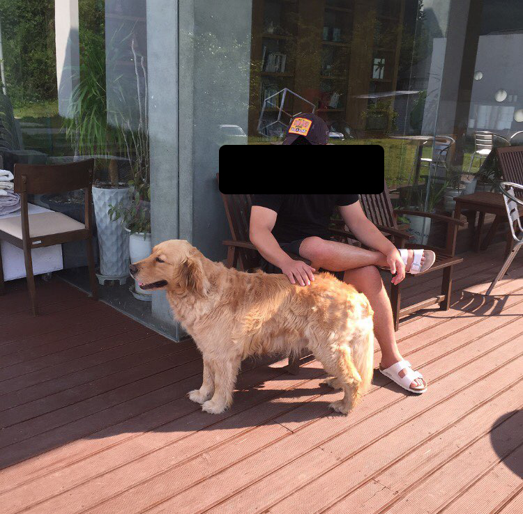 멀토 이미지