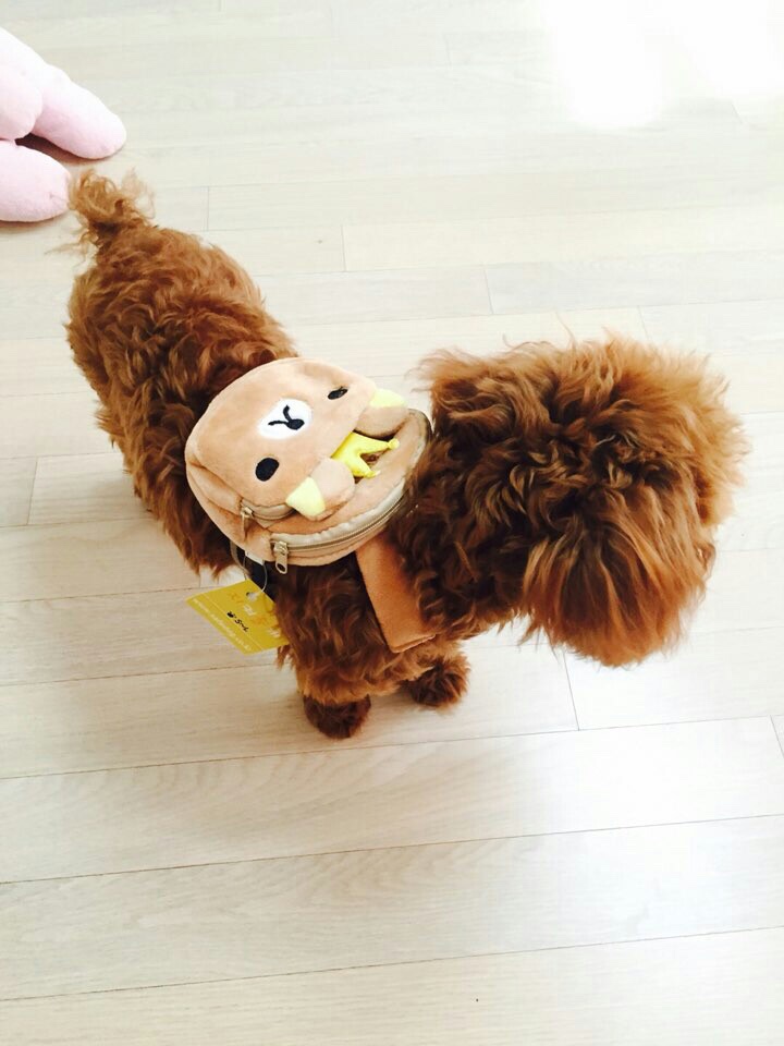 썸메드 이미지