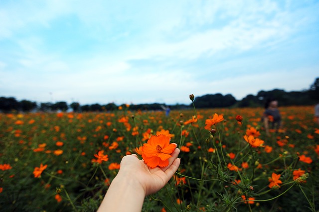 (주)시운 이미지