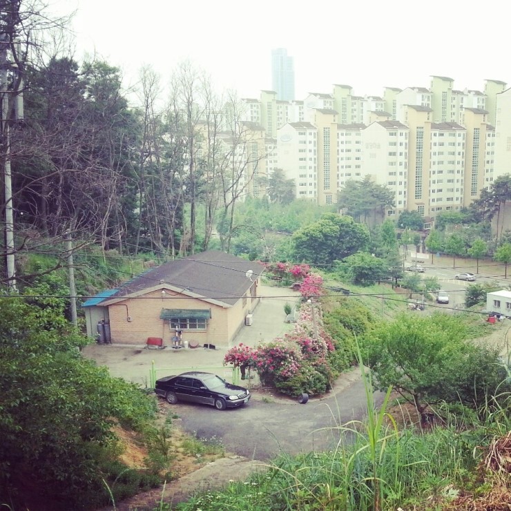 자연숯불고기 이미지