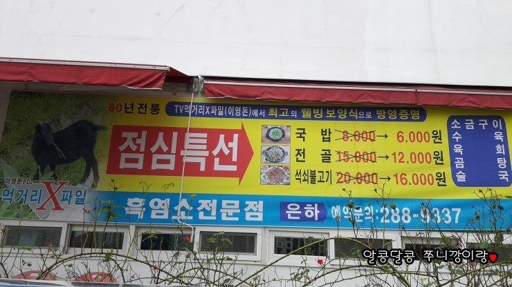 흑염소은하 이미지