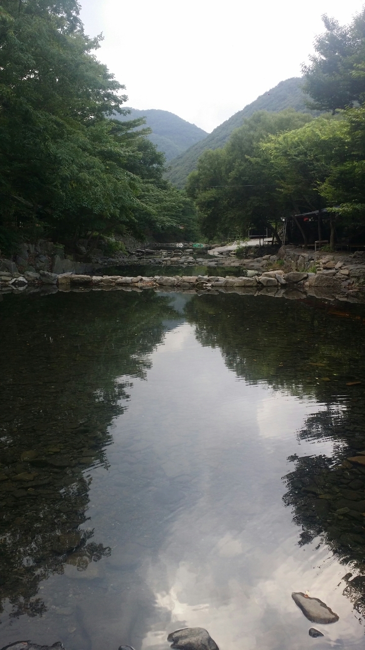 대천가자조개구이 이미지