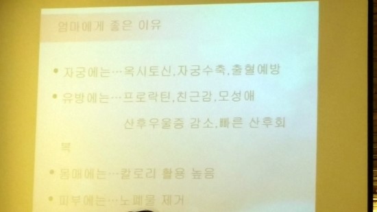 파티마당 이미지