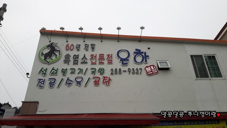 흑염소은하 이미지