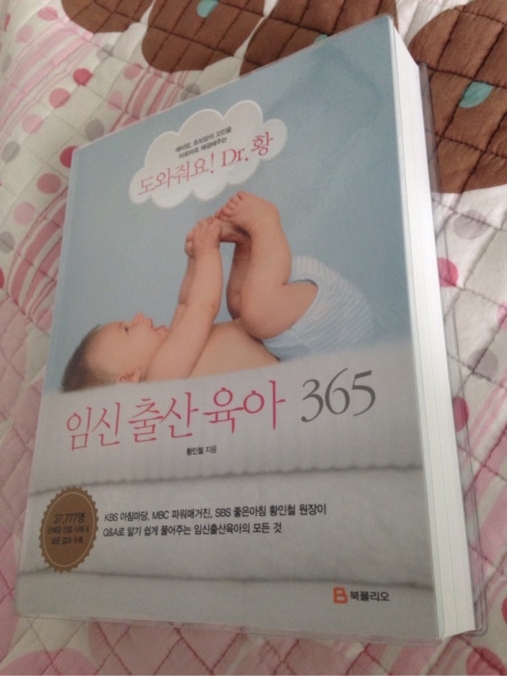 365부분 이미지