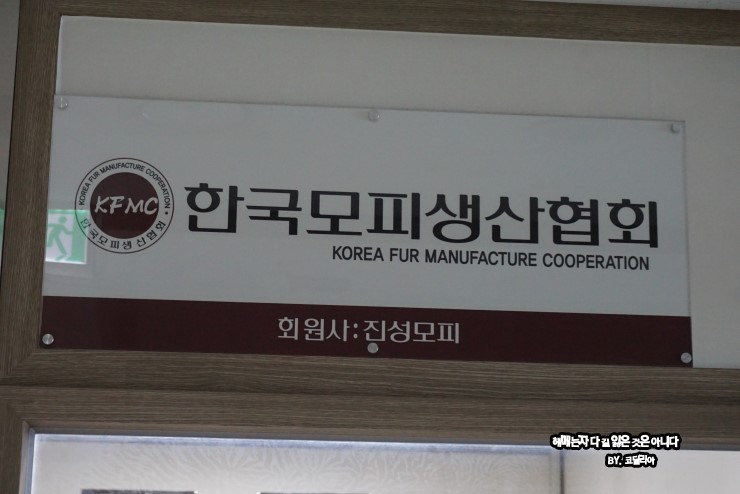 진성코퍼레이션 이미지