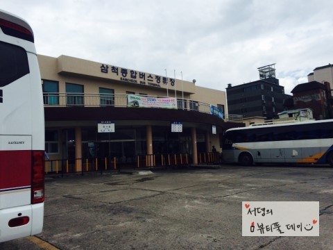 모텔피그 이미지