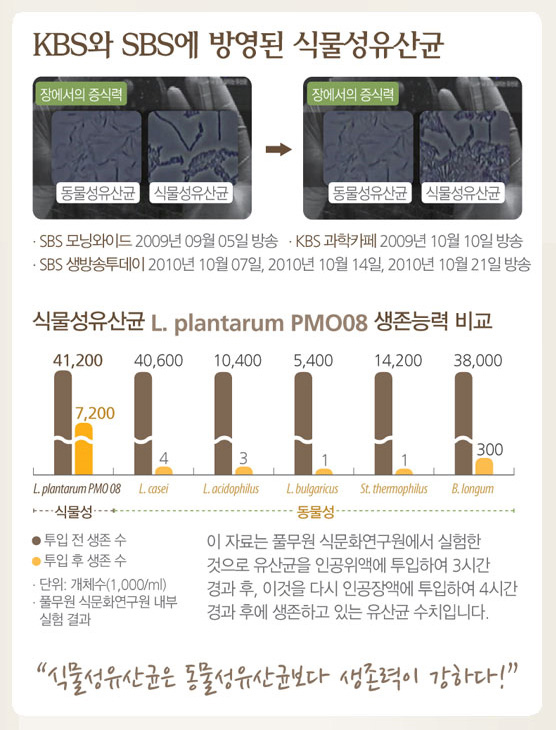 밀크유통 이미지