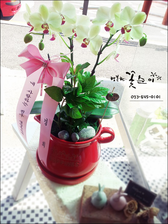 행복을심는꽃집 이미지