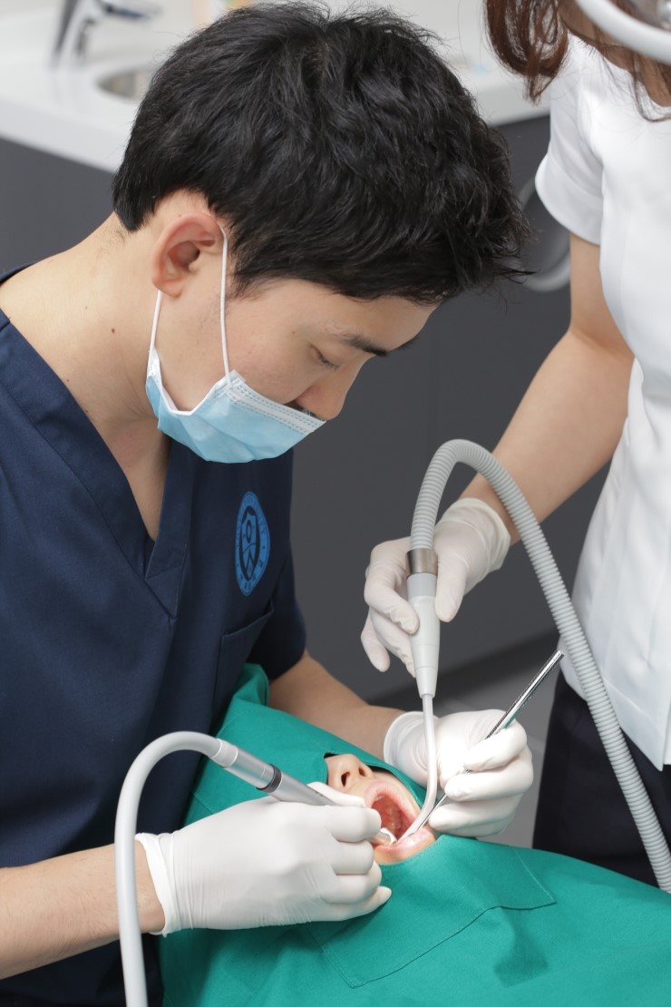 송치과 이미지