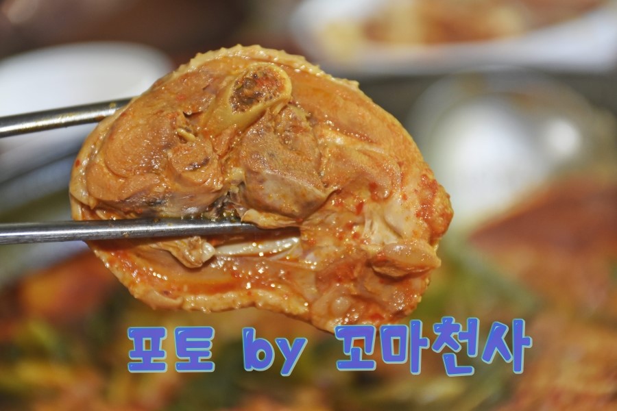 안골토종닭 이미지
