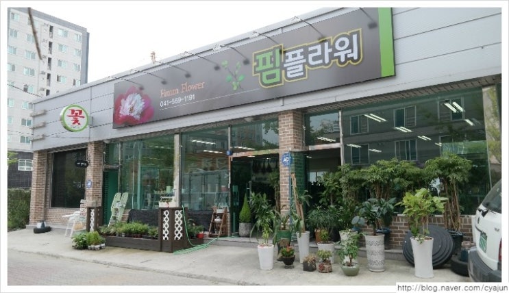 핌플라워 이미지