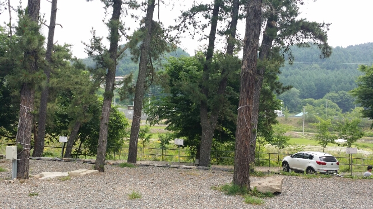 솔밭체육공원 이미지