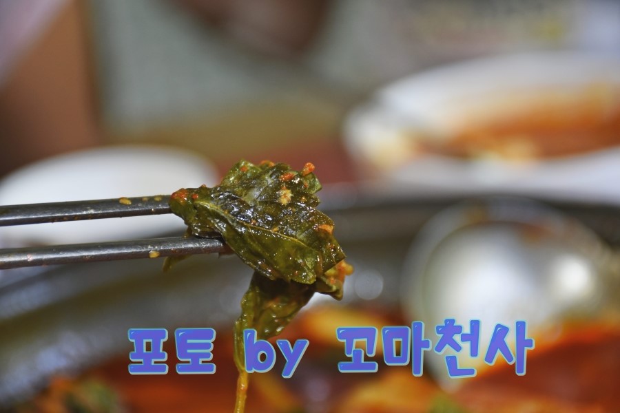 안골토종닭 이미지