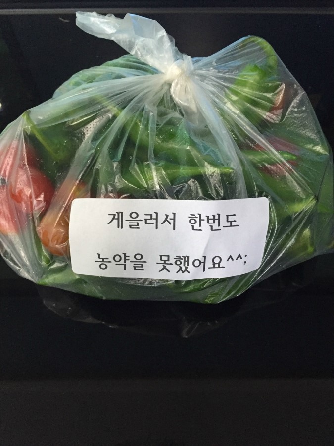 오성식품 이미지