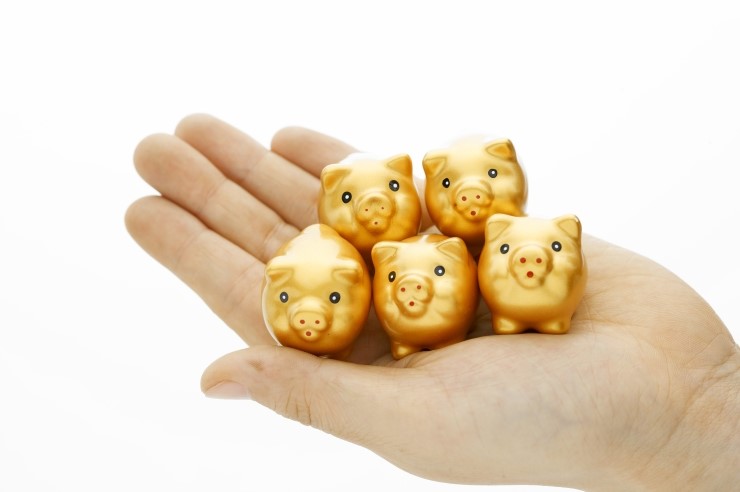 소꿈돼지꿈 이미지