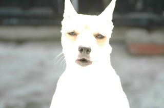 신랩 이미지