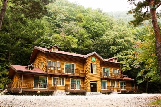 국립통고산 자연휴양림 이미지