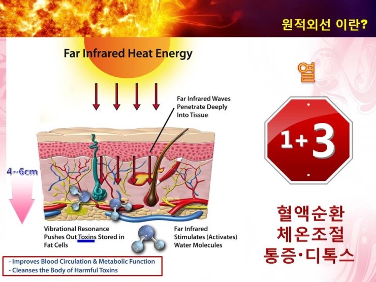 비베르 이미지