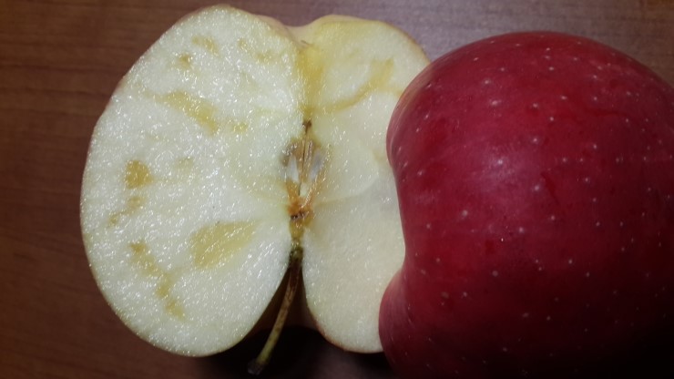꿀맛과수원 이미지