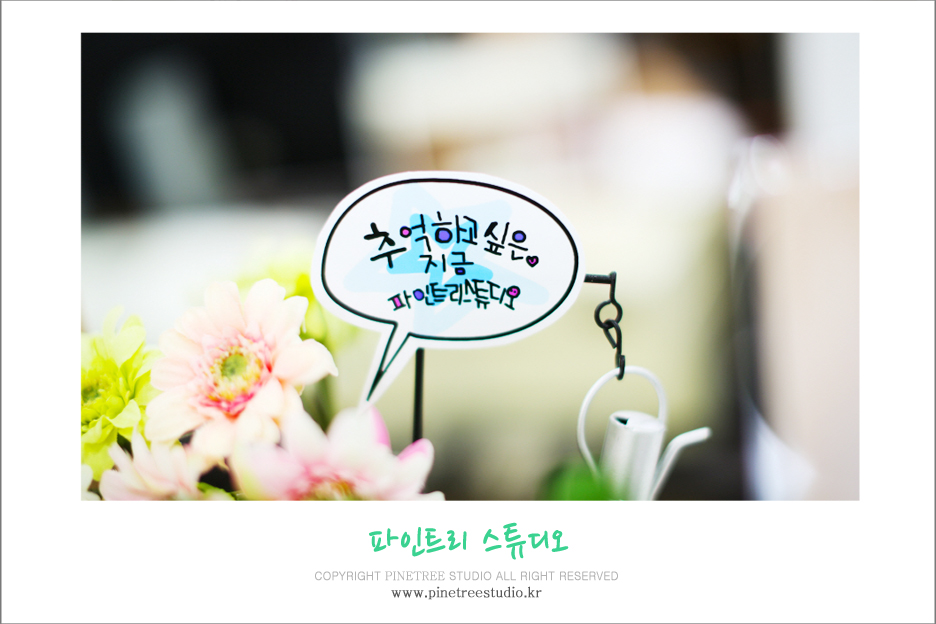 극동사진관 이미지