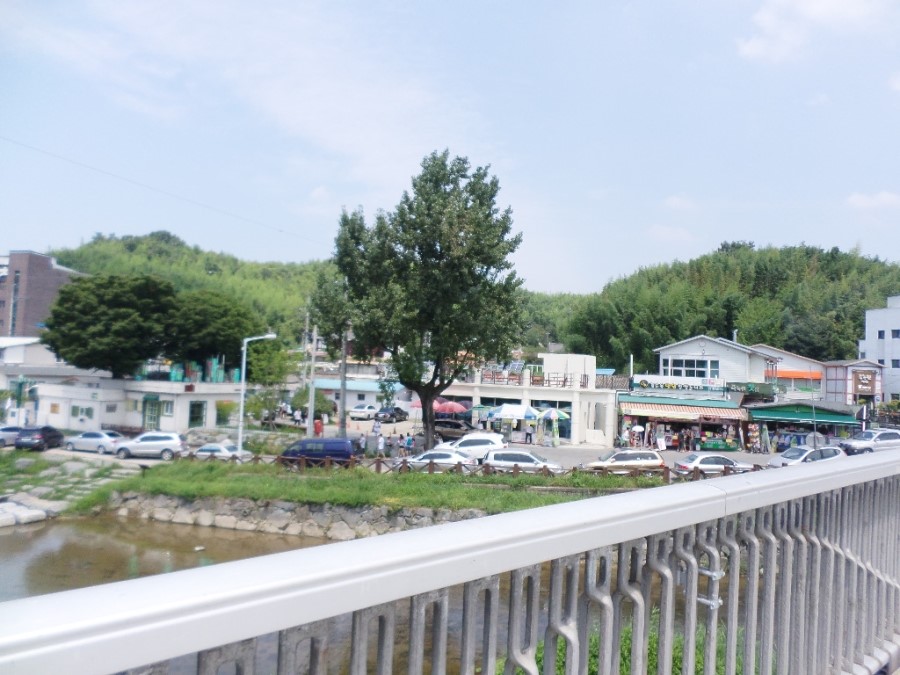 담양죽녹원국수 이미지