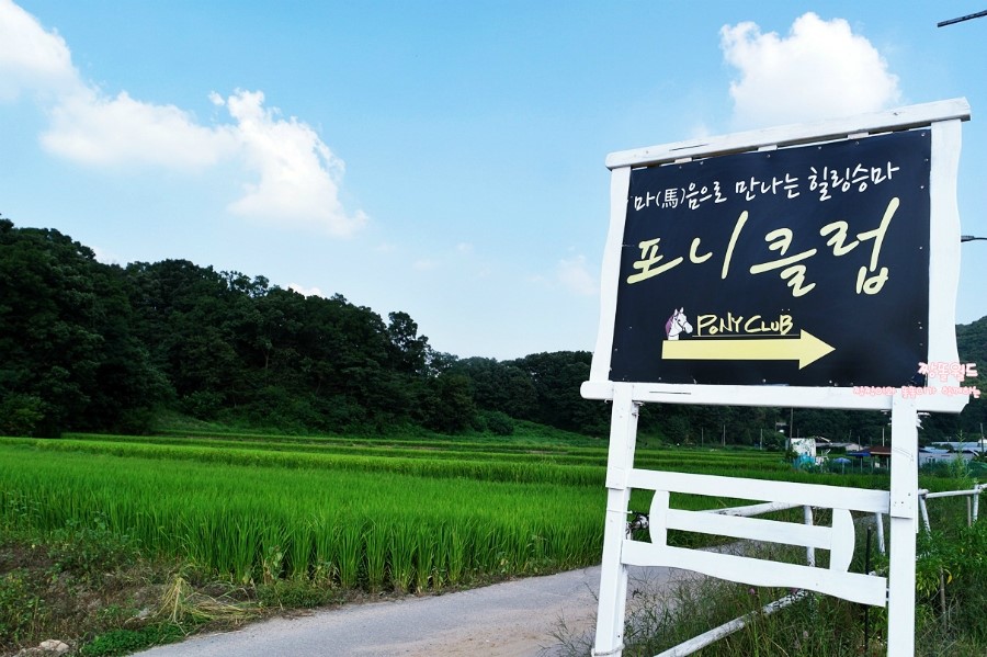 용인포니클럽 이미지