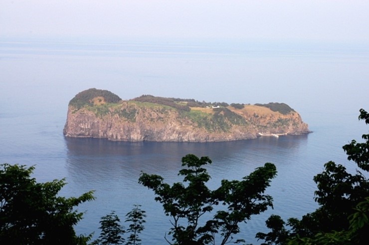 뉴바로 여행사 이미지
