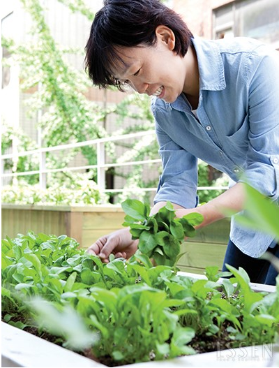 농부푸드 이미지