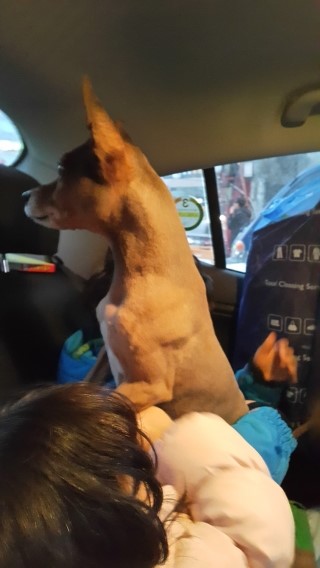 또치PC 이미지