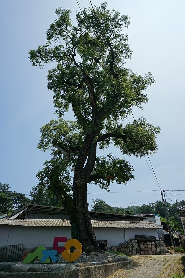 저곡마을회관 이미지