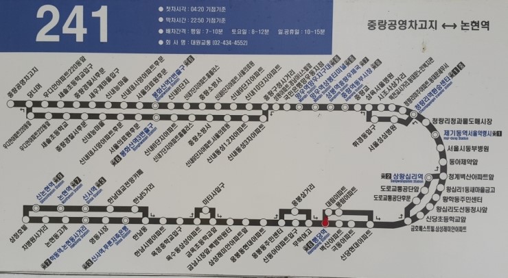 241오렌지 이미지