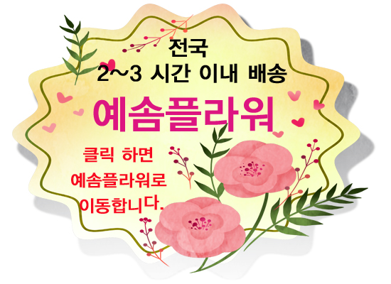 새소망병원장례식장 이미지