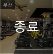 대영레포츠 이미지