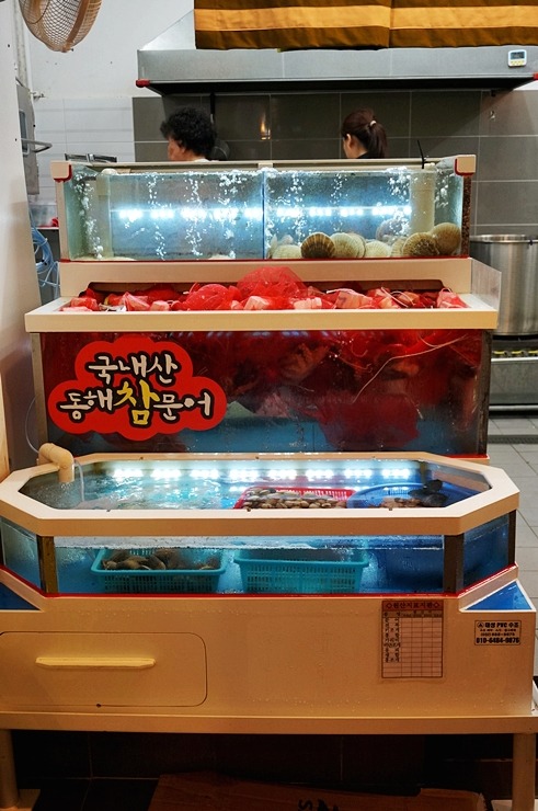 야문어 이미지